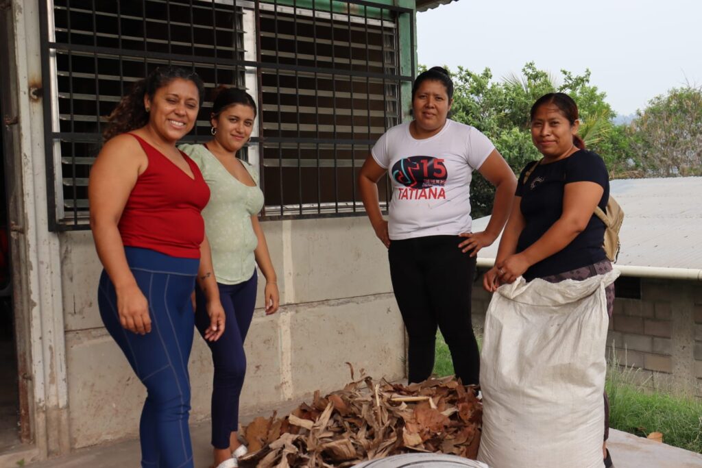 TALLER DE FORTALECIMIENTO AGRÍCOLA